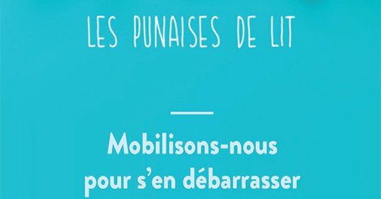 Lire la suite à propos de l’article Les punaises de lit : petites mais costaudes