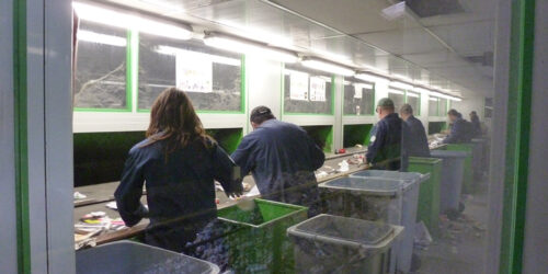 Tri des déchets : ces mauvais gestes du quotidien